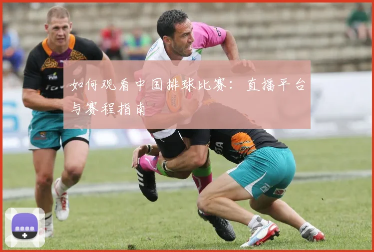 如何观看中国排球比赛：直播平台与赛程指南