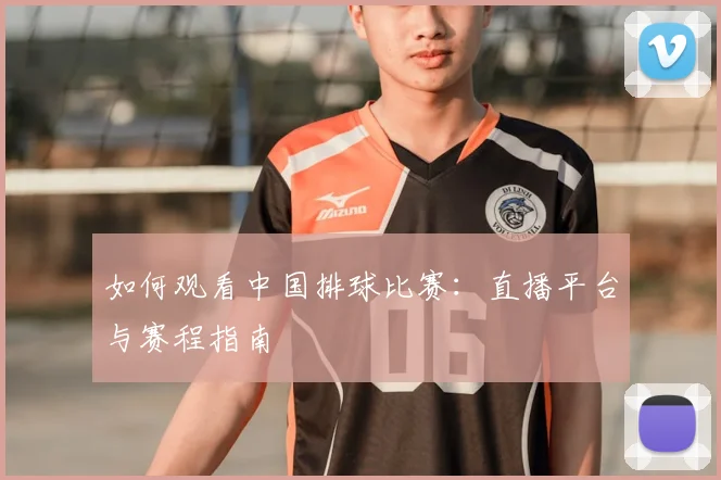如何观看中国排球比赛：直播平台与赛程指南